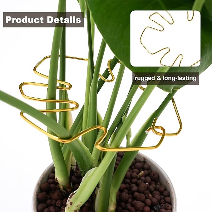 6PCS Plant Stem Support, Monstera Plant Support, Unique Designed Stable Plant Support Stakes for Plants Stabilizer, Turtle Shell Bamboo Clamp Set for Outdoor & Indoor Climbing Plants Thriving Growth