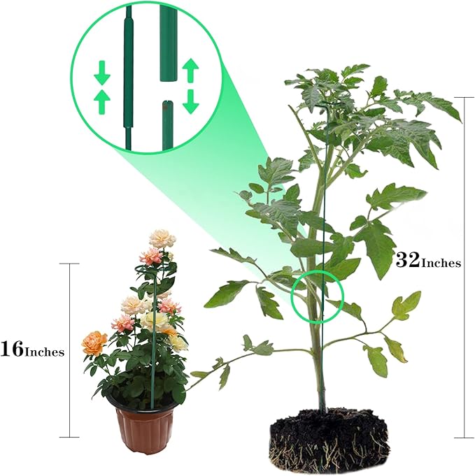 PFNRTH 8 Pack Plant Stakes,Plant Support Stakes for Two Sizes(16 or 32 Inches),Plant Stakes for Outdoor Plants,Garden Flower,Tomato(Green)