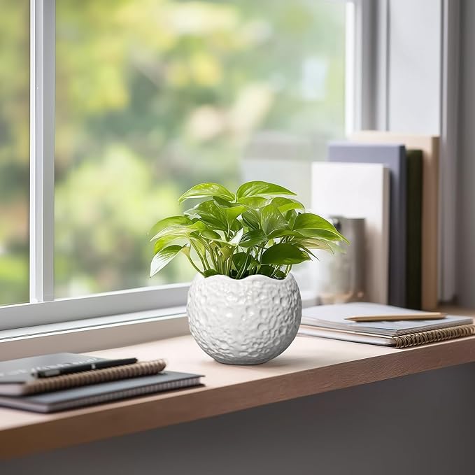 4 Inch Plant Pots - Ceramic Pots for Plants with Drainage Hole, Small Planter for Indoor Outdoor, Unique Succulent Pot, Decorative Modern Round Planter, Desk Decor, Plant Lover Gifts, White