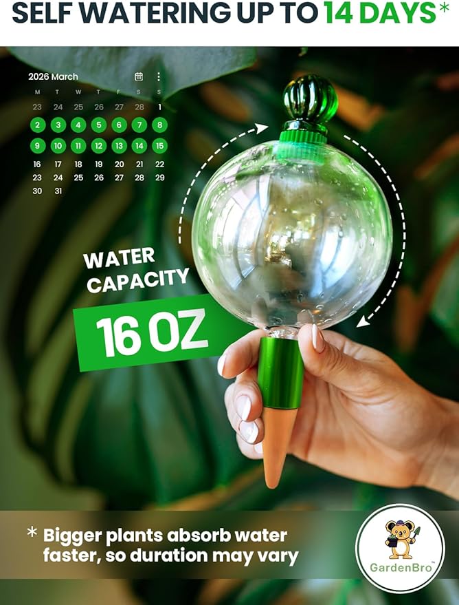16 Oz Plant Watering Globes for Indoor Plants with Terracotta Self Watering Planter Insert - Hand-Blown XL Glass Globes - Automatic Indoor Planter Waterer, Gift Idea for Gardeners [1, Clear]