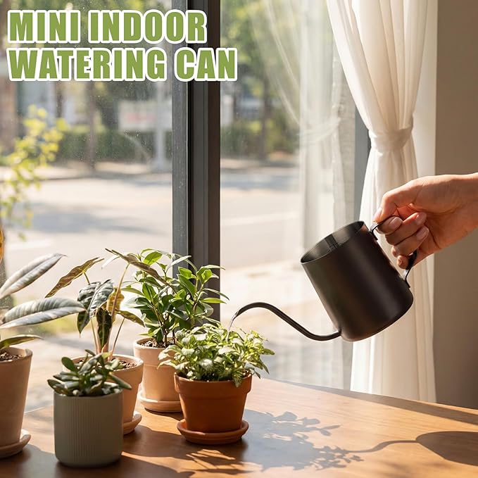 2 Pcs Small Watering Can for Indoor Plants, 12 Oz/350 ml Mini Plant Watering Pot with Long Spout and Scale 304 Stainless Steel Tiny Watering-can for Outdoor Indoor Plants Garden(Black)