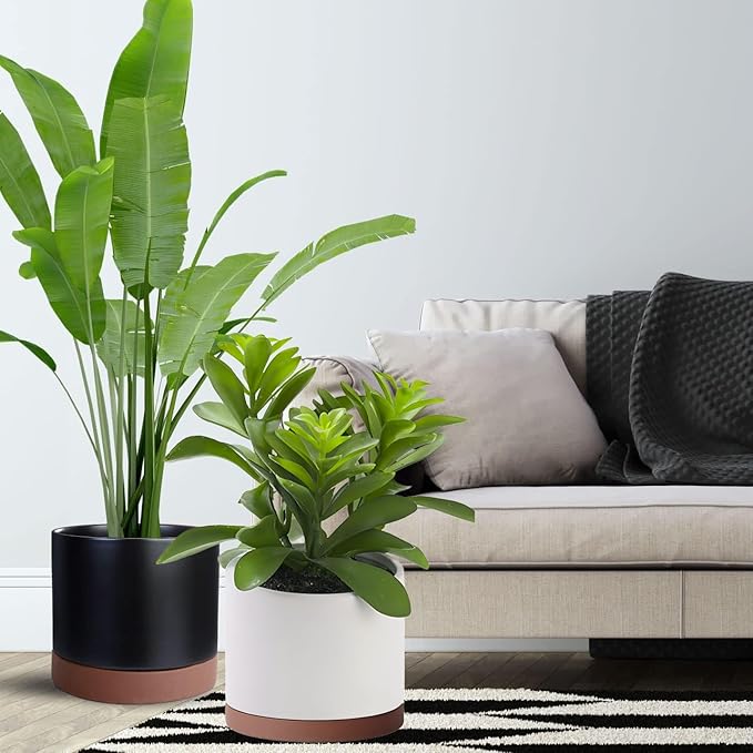 Yukfona Ceramic Plant Saucer Pot Tray 12 Inch, Planter Saucers 4 5 6 7 8 9 10 11 12 13 Inch for Indoors Outdoor, Durable Sturdy Flower Drainage drip Water Tray for Glazed Pots Base (12.7 Inch-Brown)