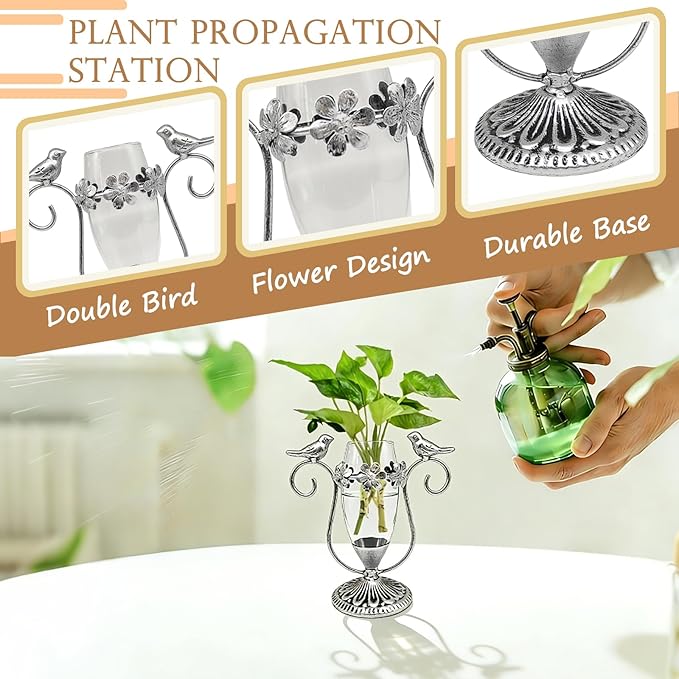 Vintage Plant Propagation Station, Hummingbird Metal Glass Plant Terrarium Stand, Office Desk Room Unique Flower Vase, Plant Lovers Gift Ideas for Women, Men (Silver)
