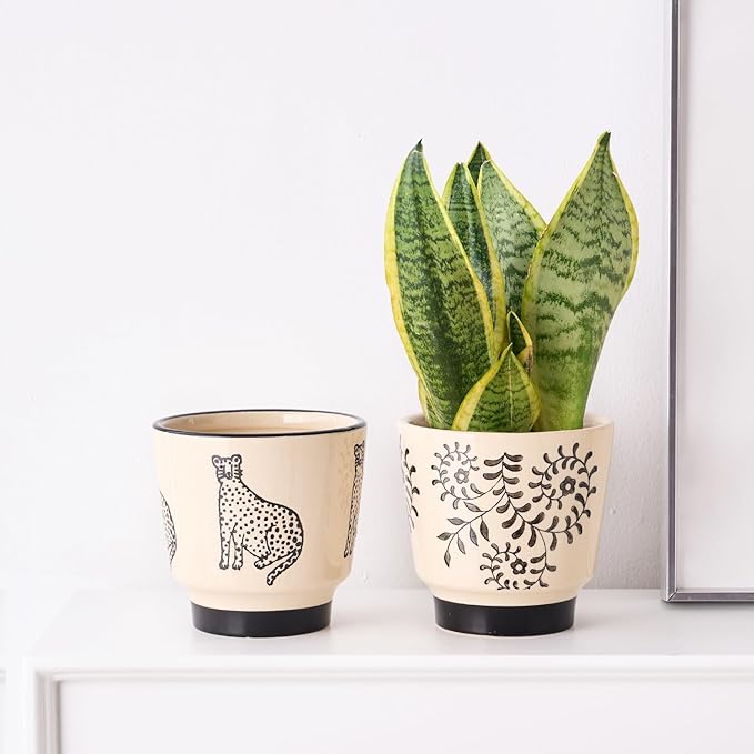 STHIE Indoor Ceramic Plant Pots with Drainage Holes 5 Inch Cute Succulent Flower Pots Small Orchid Planter Pots for Indoor Plants Garden Pots, Flower