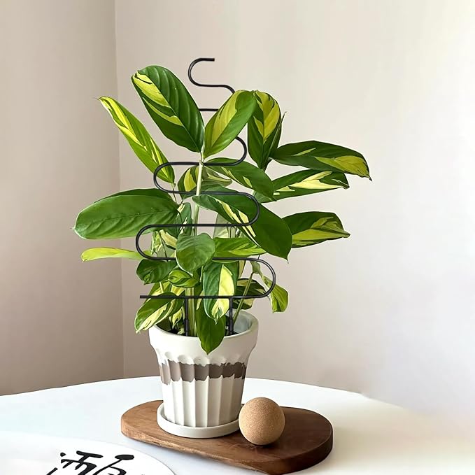 Larger 23inch Plant Trellis for Climbing Plants Indoor, Trellis for Potted Plants with Ties, Metal Climbing Plant Support for Houseplant Flower Pothos, 4 Different Panels, Black