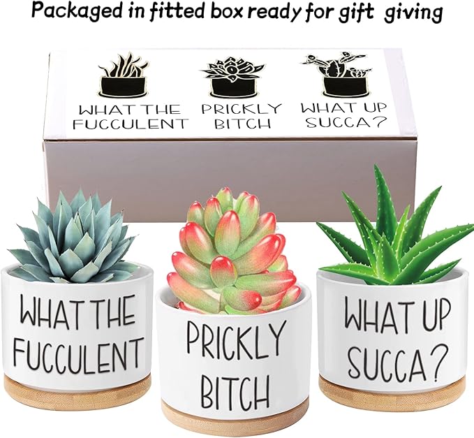 Succulent Pots with Plant Labels, Gifts for Women Birthday Unique Funny, 3.15 inch Ceramic Flower Plant Pots with Drainage Holes and Saucers, Gardening Gifts, Pack of 3 - Plants Not Included