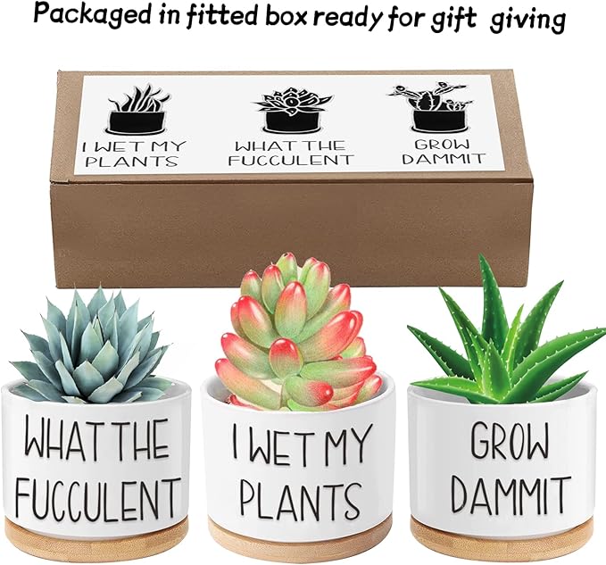 Funny Succulent Pots, 3.15 inch Ceramic Flower Plant Pots with Bamboo Tray, Cute Cactus Planters with Drainage Hole, Birthday Gifts for Women, Plant Lover Gifts, Pack of 3 - Plants Not Included