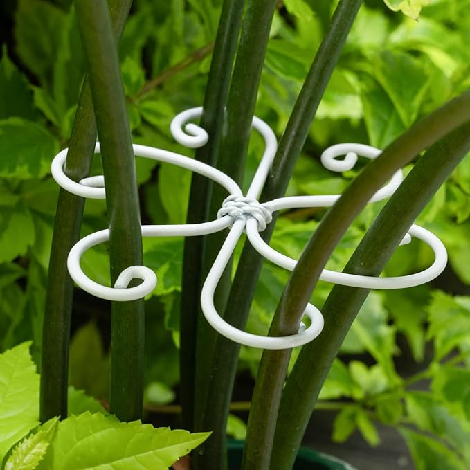 YOHSNOR 5PCS Monstera Plant Support Hook White 4.1 * 4.1 Inch – Set of 5 Durable Metal Stem Stabilizer Clips & Soft Grip Leaf Holders for Healthy Growth of Monstera & Fishbone Cactus