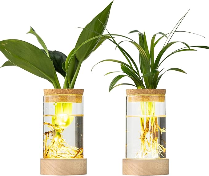 Glass Plant Propagation Stations, Propagation Vases for Plants with Ambient Light Base, Hydroponic Vase for Home & Office Windowsill Tabletop Decoration Desktop Vases for Living Room, Bedroom (2)