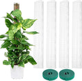 4 Pcs Plastic Moss Poles, 24″ Clear Sphagnum Moss Sticks for Indoor Climbing Plants, Stackable Hollow Plant Supports with 10ft Ties, Plant Moss Poles for Monstera, White