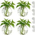 NUPTIO Wall Hanging Planters Terrarium: 4Pcs Clear Glass Wall-Mounted Vases for Indoor Office Garden Living Room - Oblate Plant Pots Hydroponic Containers Propagation Stations for Flowers