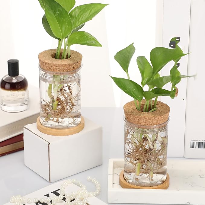 Baderke 9 Packs Propagation Vases for Plants Plastic Plant Propagation Station with Hole Lid and Bamboo Stand Growing in Water Hydroponic Home Office Table Decoration(Classic Style)