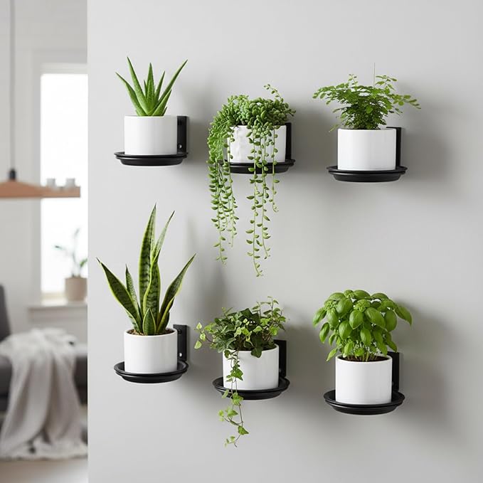 6 Pack 6'' Wall Mount Plant Holder with 8 Replaceable Trays, Heavy Duty Metal Flower Pot Holder Ring, Plant Hanger for Wall Indoor, Ring Planter Bracket for Outside Outdoor Bird Feeder Bath