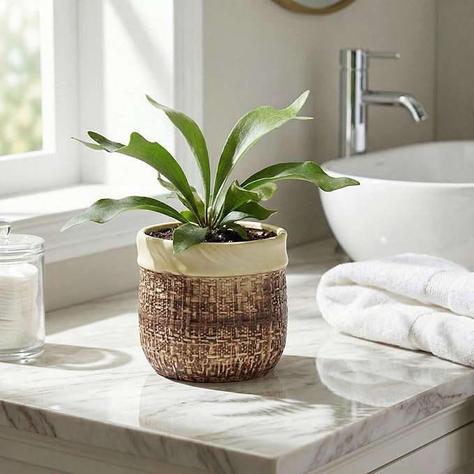 6 Inch Plant Pot - Ceramic Pots for Plants with Drainage Hole and Plug, Unique Plant Pots for Indoor Outdoor Plants, Round Planter, Room Home Decor, Gifts for Plant Lovers, Brown