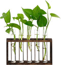 XXXFLOWER Plant Propagation Station,Plant Terrarium Wooden Stand with 5 Test Tubes,Glass Planters for Indoor Plants,Plant Lover Gifts for Women Mom Wife Daughter,Garden Office Room Decoration