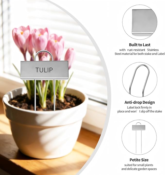 Small Size 304 Stainless Steel Plant Labels Metal Garden Plant Markers Weatherproof Stake Garden Plant Tags for Outdoor Seedling Flower (30 Pack) (Stainless Steel-2.5 Inch Width)
