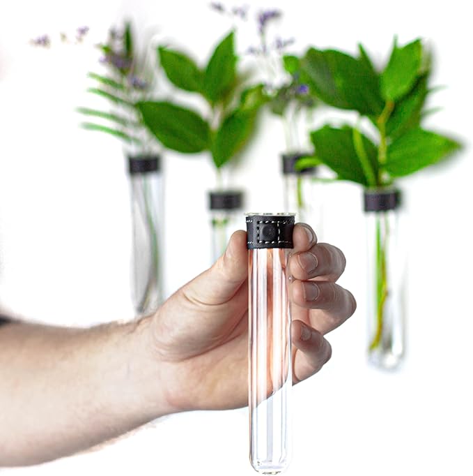 Magnetic Wall Hanging Plant Propagation Station - 2PC - Black Leather Wrapped Test Tube Vase Set, Modern Home and Office Decor, Hydroponic Plant Holder, Includes Wall Mount Magnets