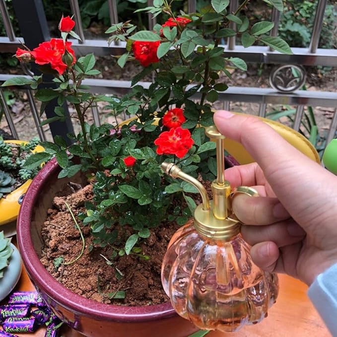 Vintage Style Glass Pumpkin Bottle Sprayer Watering Can Plant Mister with Brass Sprayer Head (Pink)