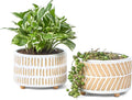 Fayoula Succulent Pots, 6 Inch Planters with Drainage Hole, Modern Indoor Plant Pots for Succulents, Herbs, Aloe, Snake Plant - Ceramic Home Décor, Set of 2