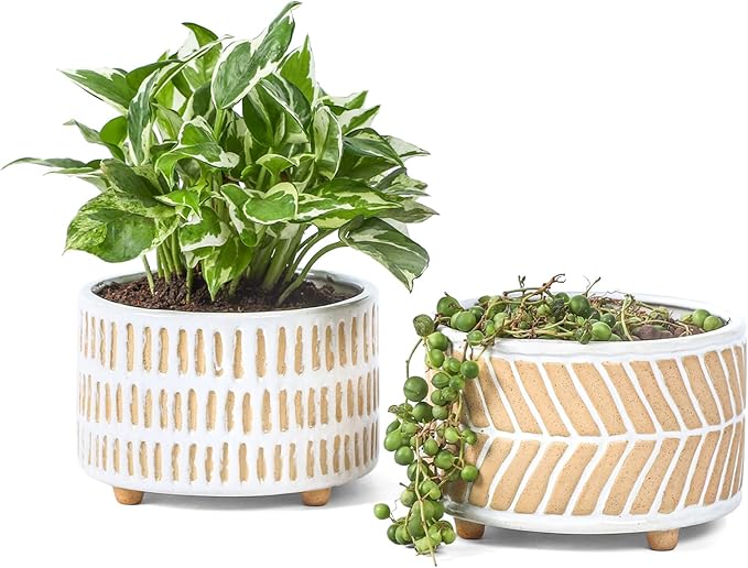 Fayoula Succulent Pots, 6 Inch Planters with Drainage Hole, Modern Indoor Plant Pots for Succulents, Herbs, Aloe, Snake Plant - Ceramic Home Décor, Set of 2
