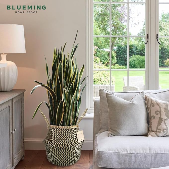 Blueming Wicker Plant Basket – Small 8-9 Inch Medium Seagrass Pot for Faux Olive Tree, Snake Plant or Houseplants, Black Decorative Planter for Home Decor