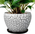 Ceramicfor Ceramic Planter Pot - 6 Inch Plant Pot with Drainage Hole and Saucer, Succulent Pot Glaze Round for Indoor Outdoor Plants, White and Black