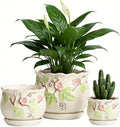 Vintage Flower Pots for Indoor Plant, Round Ceramic Plant Pots with Drainage Holes and Saucers, 6.7/5.2/3.9 Inches Retro Flower Planters Set of 3 (Morning Glory)