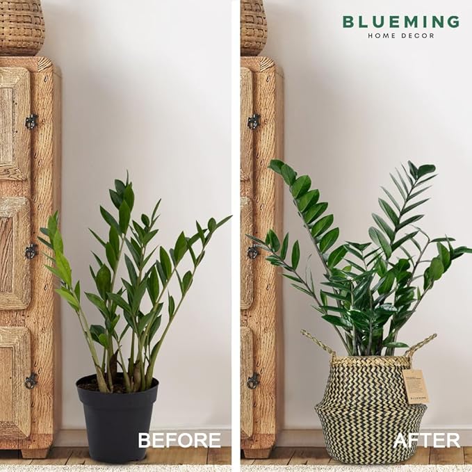 Plant Baskets – Large Seagrass Planter for Tall Indoor Faux Olive Tree, Woven Wicker Rattan Pot for Boho Decor 9-10 Inch (Black, Large & Medium)