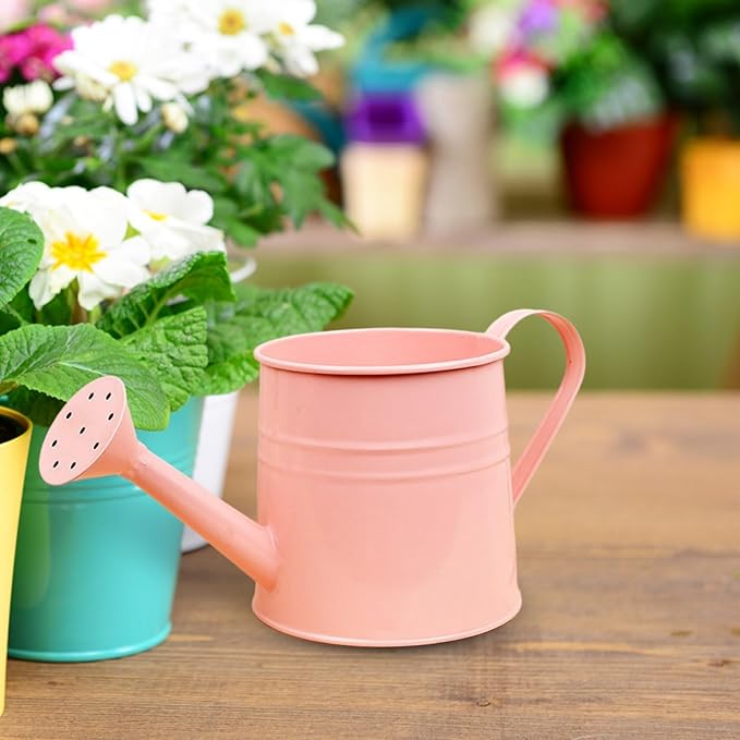 1.6L Watering Can for Indoor Outdoor Plants, Modern Small Watering Cans, Metal Flower Watering Can, Long Spout Watering Can-Colorful Plant Waterer for Indoor Bonsai Plants Garden Flowers (Pink)