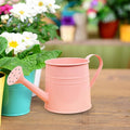 1.6L Watering Can for Indoor Outdoor Plants, Modern Small Watering Cans, Metal Flower Watering Can, Long Spout Watering Can-Colorful Plant Waterer for Indoor Bonsai Plants Garden Flowers (Pink)