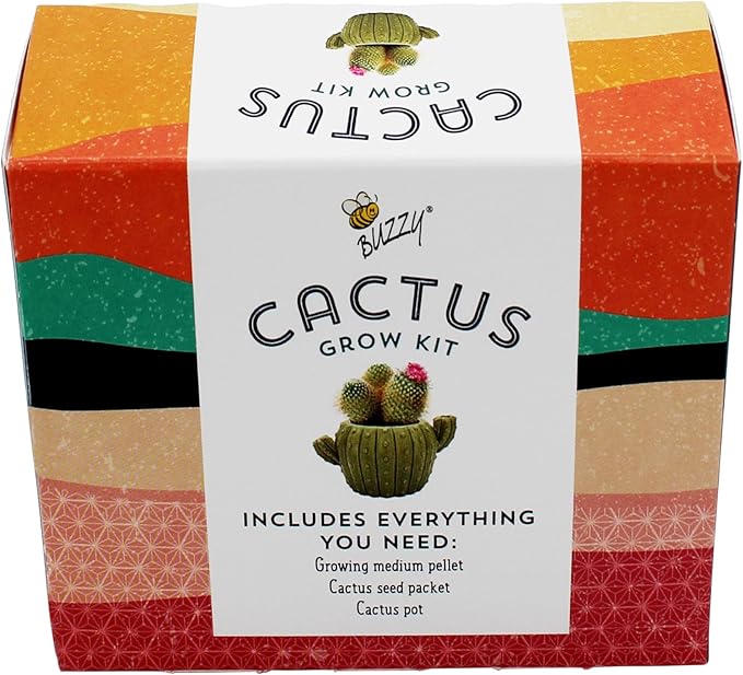 BUZZY Seeds 4pk Mini Cactus Grow Kit with Ceramic Planter, Succulent Seeds, Growing Medium, Easy Instructions, Indoor Gardening Gift for Beginners, Birthdays, Housewarming and Home or Office Decor