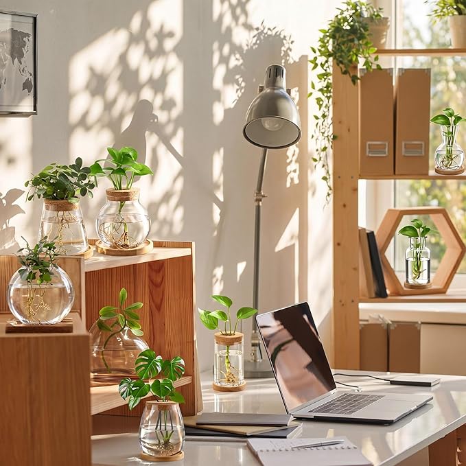 Honeydak 8 Pcs Plants Propagation Stations Planter Terrariums with Wooden Lid and Bamboo Stand Desktop Glass Propagation Vases for Plant Growing Hydroponic Home Office Tabletop Decoration