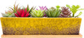 ARTKETTY Succulent Pots - 12.1 Inch Large Succulent Planters Pots with Drainage Tray, Long Rectangle Ceramic Pots for Indoor Cactus/Succulent Plants Shallow Bonsai Window Box for Home Garden Decor