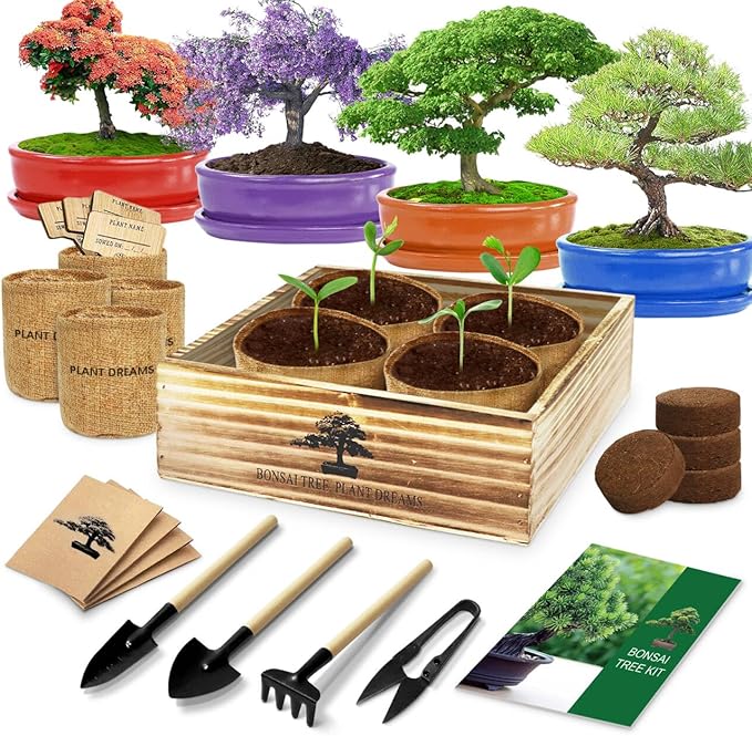 Bonsai Tree Kit, Bonsai Starter Kit with 4 Types of Seeds, Tools & Planters, Bonsai Tree Live Plants Indoor, Gardening Gifts for Women Men Mom Father Plant Lover, Unique