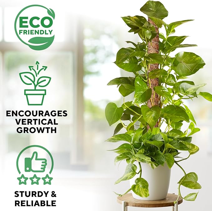 Premium Moss Pole for Plants 4-Pack - 48 Inch Sturdy Plant Support Stakes - 16.5" Extendable Poles for Monstera & Climbing Plants - 100% Natural Garden Sticks - Complete Kit w/Ties, Velcro & Rope