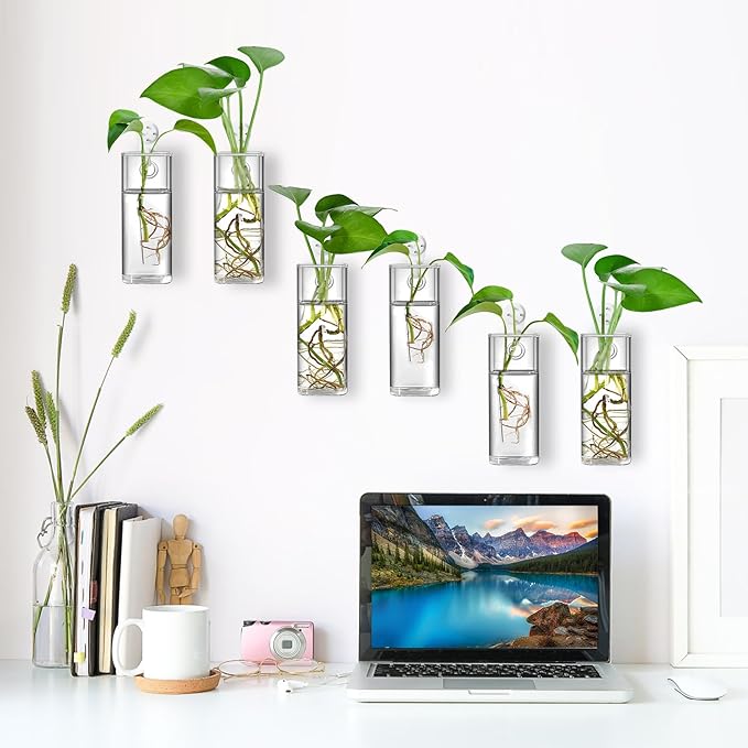 Fasmov 6 Pack Wall Hanging Glass Planters, Terrarium Holders for Air Plants, Succulents, Flowers - Square, Clear Vase Containers for Plant Display and Decoration