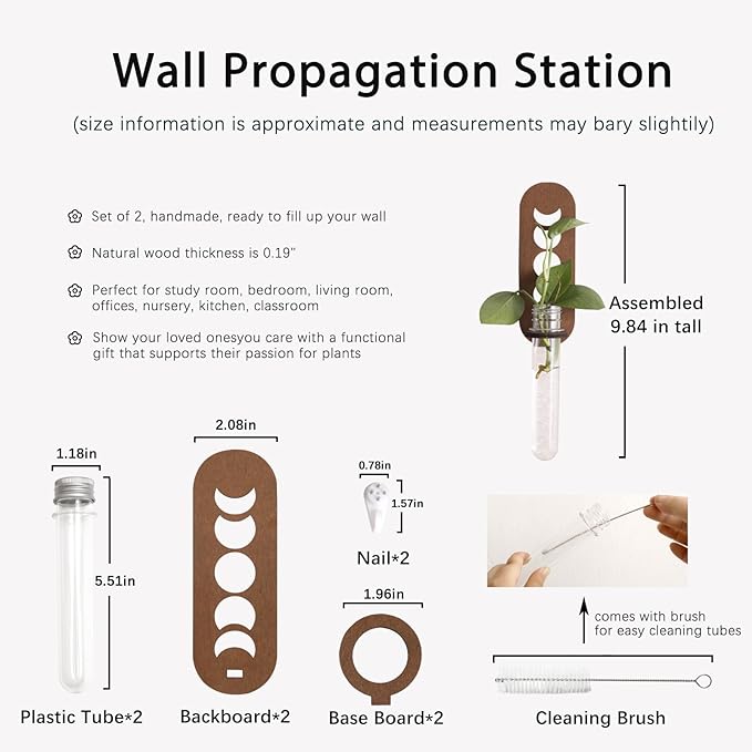 Artilady 2 Pack Plant Propagation Station Wall Hanging Wooden Moon Phase Plant Terrarium for Hydroponics Home Office Decor Test Tube Propagate Air Plant Cutting Holder