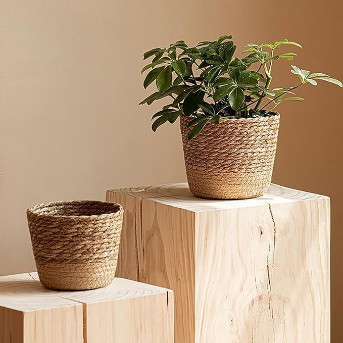 Jute Rope Plant Basket Indoor Modern Woven Flower Pot Basket Seagrass Storage Organizer Planter Rustic Decorative Plant Containers Cover Laundry Bin for Porch Living Room Entryway (7.87×7.87×6.29Inch)