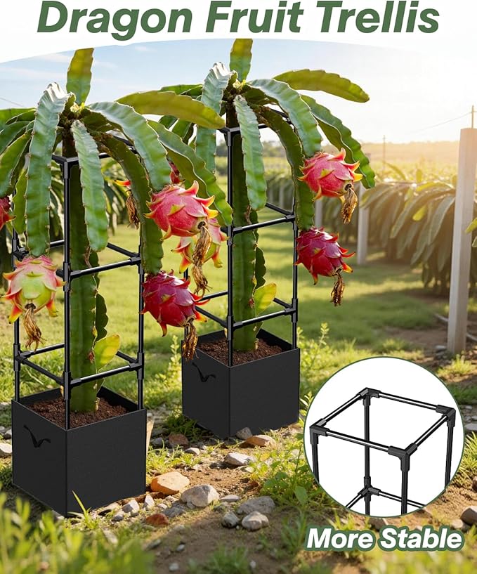 Dragon Fruit Trellis for Climbing Plants Indoor Outdoor, Heavy Duty Metal Adjustable Vertical Garden Support for Indoor Outdoor Potted Plants, Tomato, Cactus, Roses,Vines(12 * 12 * 47inch,1PC)