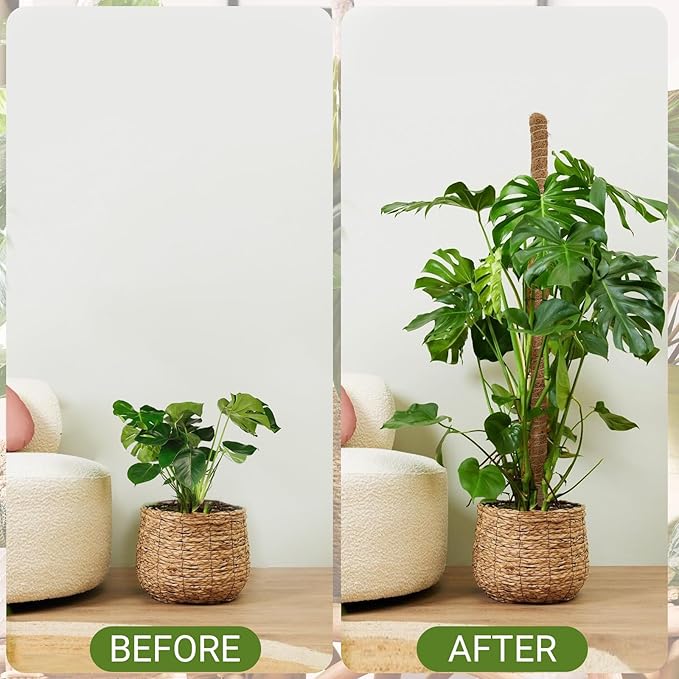 Deergo 30 Inch Moss Pole, 2 Pack Bendable Coconut Fiber Plant Support for Small Creeper Plants Climbing