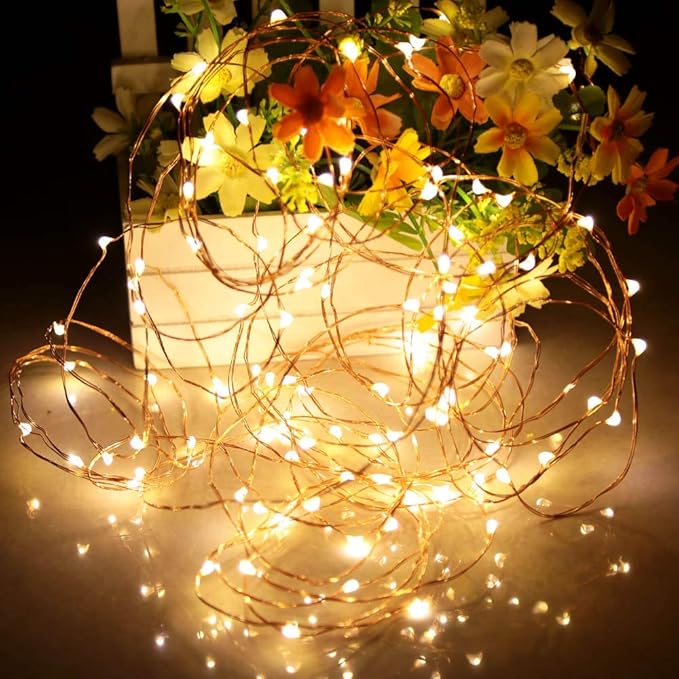 Ariceleo Led Fairy Lights Battery Operated, 2 Packs Mini Battery Powered Copper Wire Starry Fairy Lights for Bedroom, Christmas, Parties, Wedding, Centerpiece, Decoration (5m/16ft Warm White)