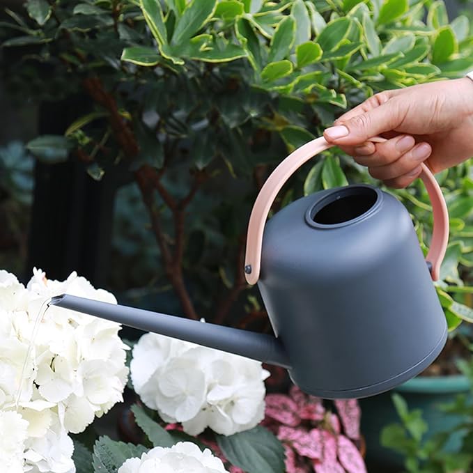 Long-Spout Watering Can, Indoor Plant Waterer, 1.7L Capacity Can with Durable Build, Gardening Tool Material, Watering Device with Detachable Handle, Plant Waterer for Succulents and Flowers