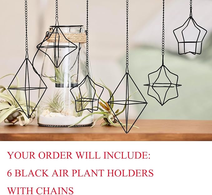 Geometric Air Plant Hanger 6 Pack Black Metal, 3 Shapes & 2 Sizes with Detachable Chains, Modern Himmeli Wall Hanging Planter for Tillandsia Indoor Home Decor
