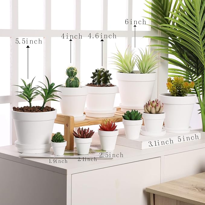 Terra Cotta Pots with Saucer- 6-Pack Large Terracotta Pot Clay Pots 5.5'' Clay Ceramic Pottery Planter Cactus Flower Pots Succulent Pot with Drainage Hole- for Plants,Crafts terra cotta planter(White)