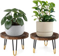 OBTAIN Plant Stand Indoor Outdoor,2 Set Mid Century Style Walnut Wood Color Plant Stand,Waterproof Design Modern Plant Table,Easily Assemble Come With Tools,Nice For Room Decor (M,L)