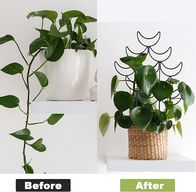 Yhtpouqe 4 Pack Metal Plant Trellis for Climbing Plants Outdoor/Indoor - Sturdy Garden Trellis for Potted Plants, Rustproof Plant Suppor Stakes for Vine Ivy Pothos Monstera Hoya Flowers