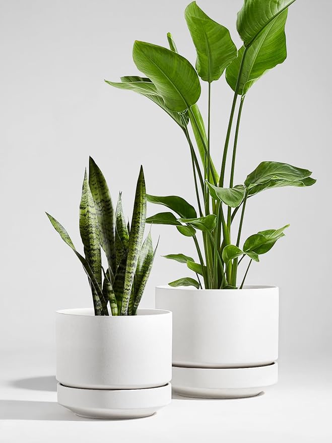 LE TAUCI 12 Inch Pots for Plants with Saucer | Ceramic Outdoor & Indoor Planter Pot for Plants | Drainage Hole, Mesh Pad | Unglazed Porous | Modern for Home, Office and Patio – Chalk White