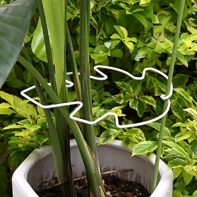YOHSNOR 5PCS Monstera Plant Stem Support White 9 * 7.6in - Durable Stake Holder for Indoor Climbing Plants, Adjustable Installation Ideal for Fishbone Cactus and Plant Enthusiasts
