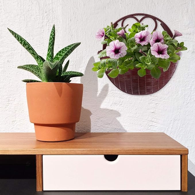 Seagrass Storage Baskets 2Pcs Hanging Planter Baskets Rattan Flower Pots Air Plant Container for Indoor Outdoor Plant Porches Patio Wall Decoration Brown Round Planter