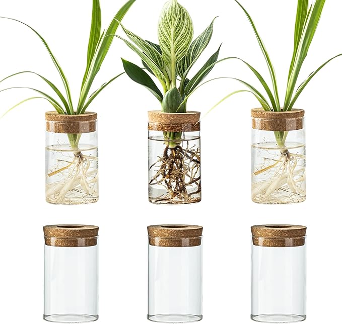 Snminetal Glass Plant Propagation Station Set of 6, Modern Desktop Flower Vase for Succulent Cuttings, Home Office Decoration, Ideal Housewarming Gift for Living Room, Bedroom